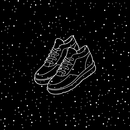 PROVEEDOR ZAPATILLAS